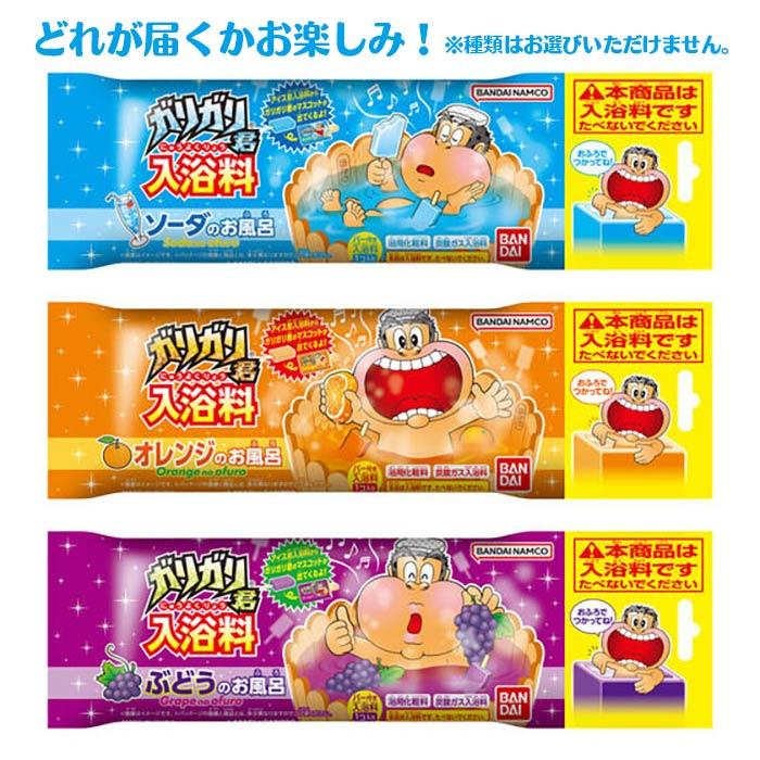 BANDAI（バンダイ） ガリガリ君 入浴料 2026 ゆうパケット可 夏祭り
