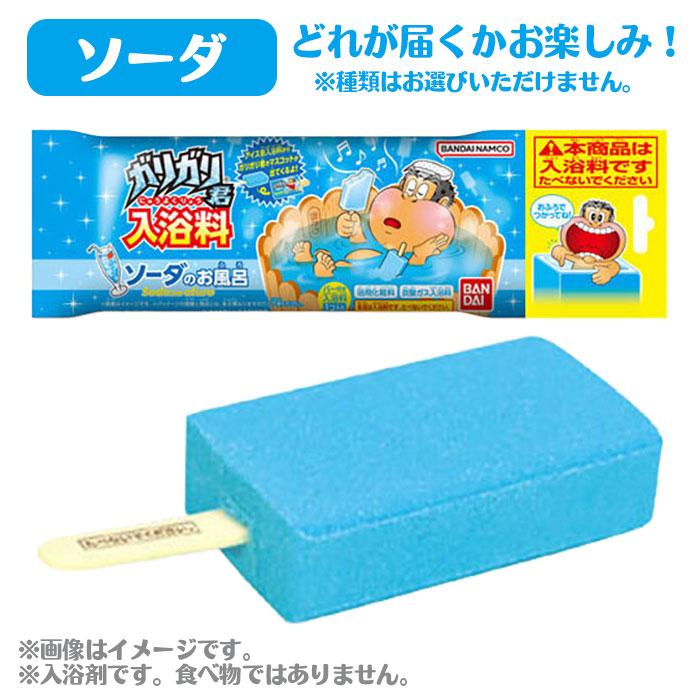 BANDAI（バンダイ） ガリガリ君 入浴料 2026 ゆうパケット可 夏祭り