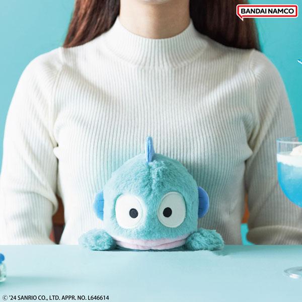 サンリオ　ハンギョドンぬいぐるみ サンリオ ハンギョドン ぬいぐるみ 胸キュンメモリーズ 平成