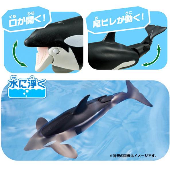 アニア AL-08 シャチ親子 : おもちゃの三洋堂ネットショップ - 通販