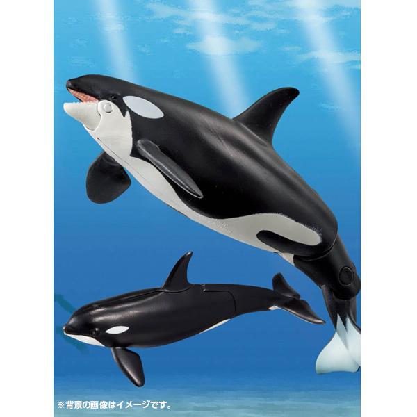 アニア AL-08 シャチ親子 夏祭り : おもちゃの三洋堂ネットショップ