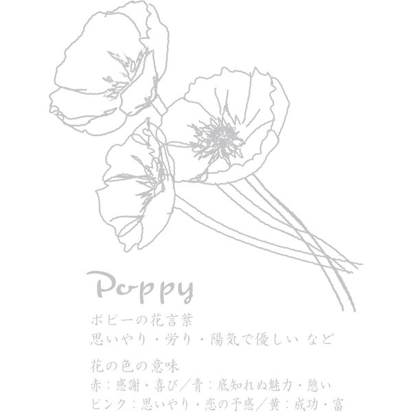 一輪の花色紙 寄せ書き アイデア ゆうパケット可 : おもちゃの