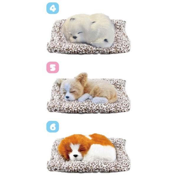 おねむりわんちゃん ベイビー かわいい 子犬 全9種 夏祭り : おもちゃ