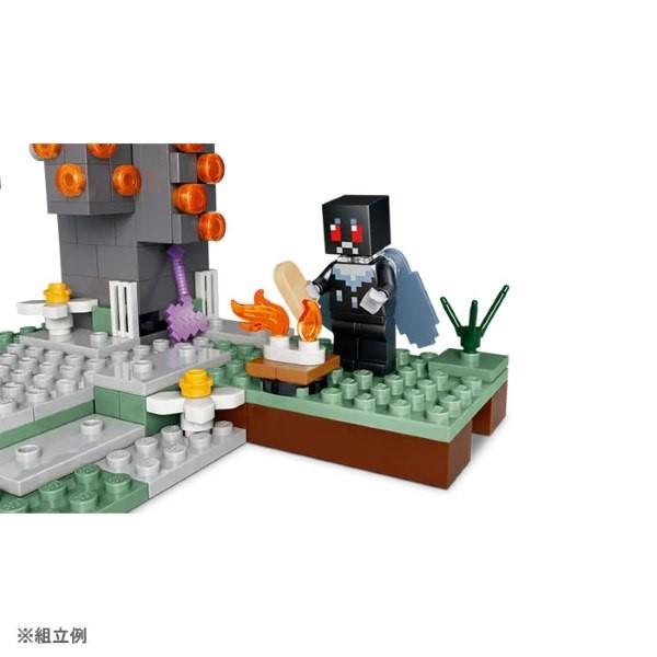 LEGO（レゴ） R マインクラフト ペールガーデン 21586 : おもちゃの