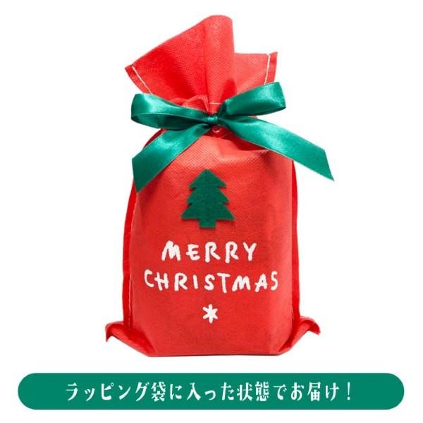 数量限定 クリスマス 不織布ラッピング袋 駄菓子10個詰め合わせセット