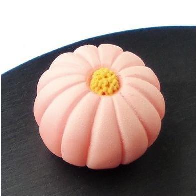メール便可 和菓子マグネット 菊 菊饅頭 おもちゃの三洋堂 通販 Yahoo ショッピング