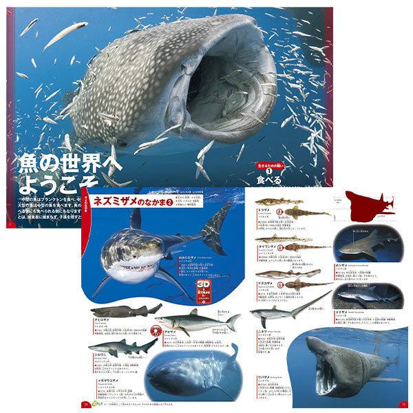 魚の図鑑 学研の図鑑 Live 7 魚 おもちゃの三洋堂 通販 Yahoo ショッピング