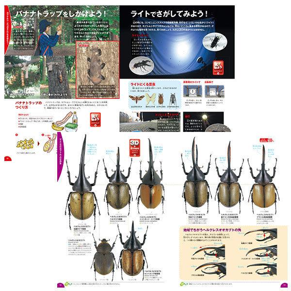 学研の図鑑 Live 18 カブトムシクワガタ おもちゃの三洋堂 通販 Yahoo ショッピング