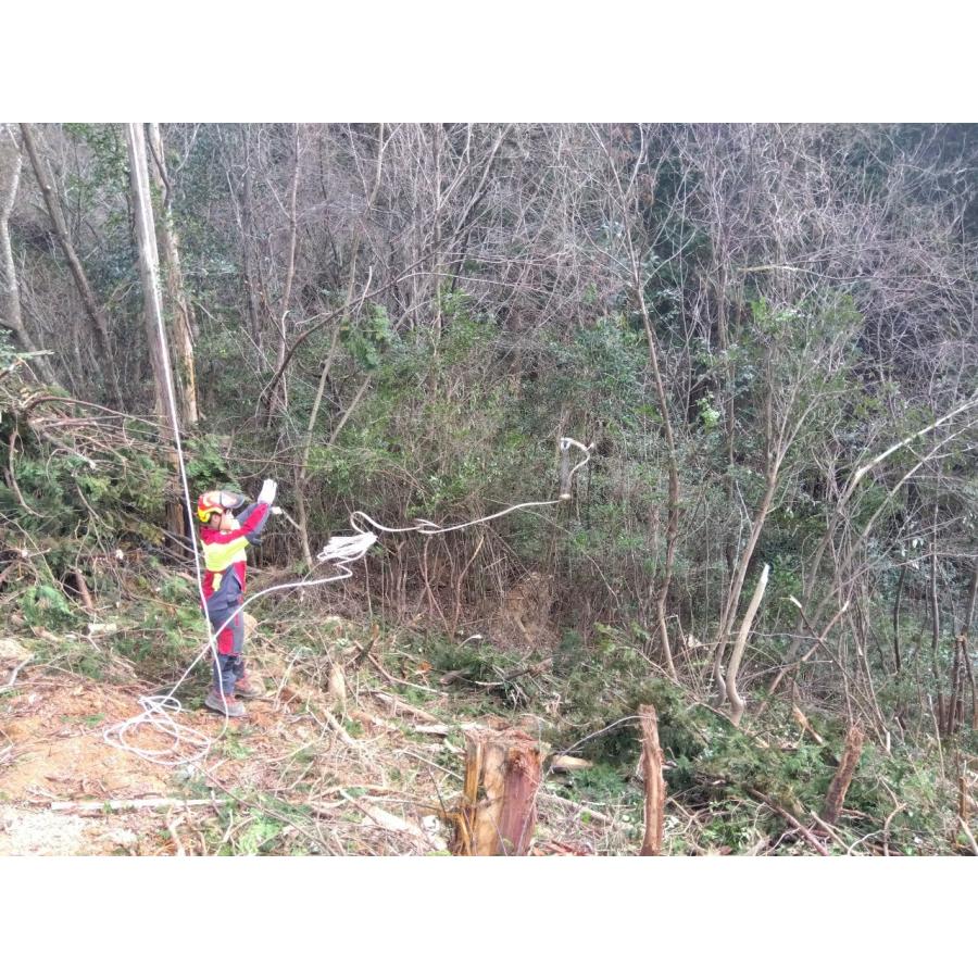 NEW 外層付き林業用エースライン 林業集材用繊維ロープ 東京製綱繊維ロープ 10mm 75m スーパー繊維ロープ 林業 集材 軽い : 山陽 ...
