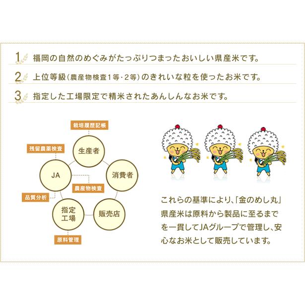 キャンセル出ました令和５年産元気つくし10キロ 元気つくし 金のめし丸マーク付 福岡県産 10kg(5kg×2) 精米 令和6年産