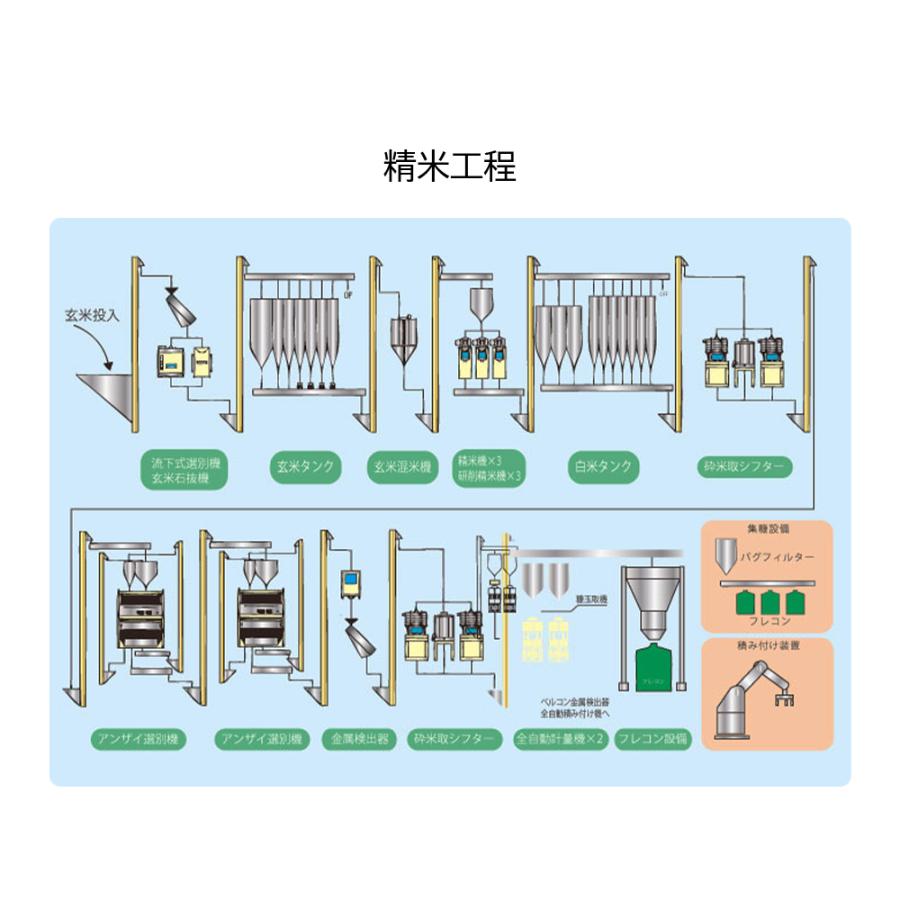 残り１つ令和５年産元気つくし10キロ 元気つくし 金のめし丸マーク付 福岡県産 10kg(5kg×2) 精米 令和6年産