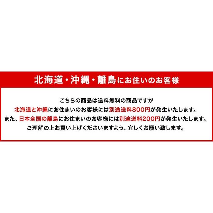 コンバース ローカット キッズ スニーカー チャイルド オールスター ライト ビッグゴア スリップオン ネイビー イエロー ホワイト 男の子 女の子｜sanyuukutu｜04