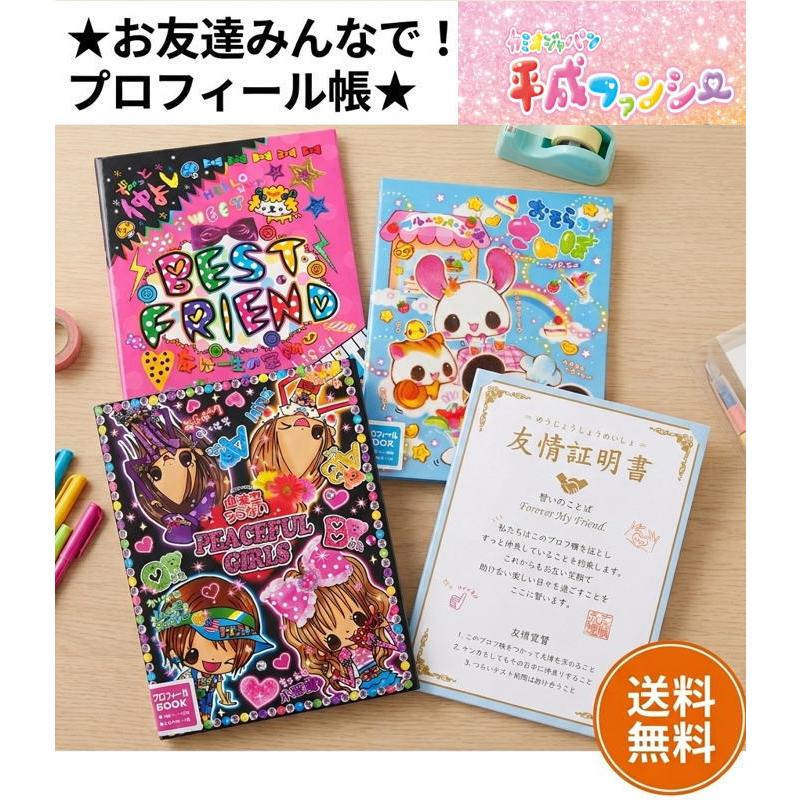 平成ファンシー プロフィール帳 カミオジャパン おそらのさんぽ ベスト