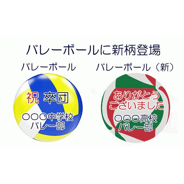 バレーボール 大会 卒団 卒部 記念品 名入れ クッキー お菓子 |  | 01