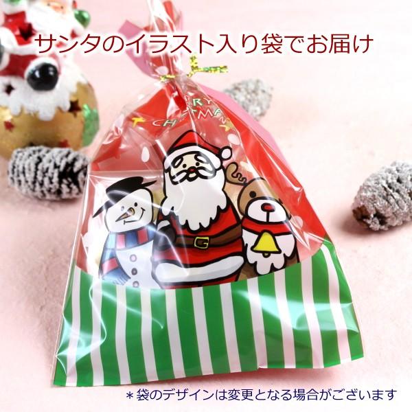 クリスマスサンタクッキー＋マドレーヌ、チョコフィナンシェセット/お