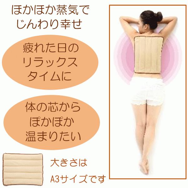 ○新 蒸気で ホット＆スチームパッド ホットスチームパッド LL（30×40