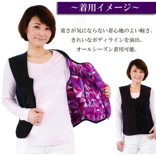 バイオラバー エアロドームシリーズ ベスト 山本化学