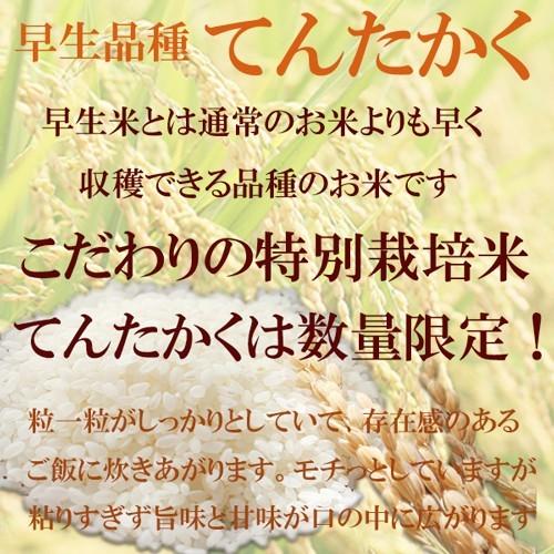 新米 令和５年度産　富山県産 特別栽培米てんたかく 玄米３ｋｇ｜saplie｜03