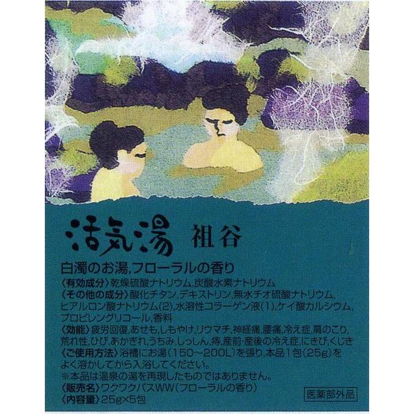 薬用入浴剤「活気湯」日本の有名温泉 6箇所ｘ１箱｜saponintaiga｜09