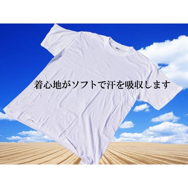 白無地Tシャツ LLサイズ10枚 速乾 ピッチリ｜saponintaiga｜02