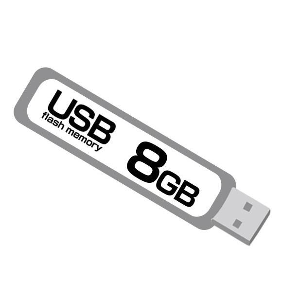 USBメモリ 8GB 8ギガ フラッシュメモリ お得 : サポニンタイガネット