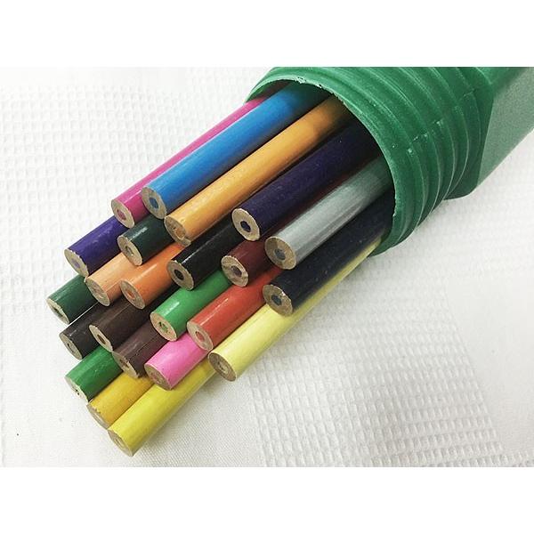 24色入り 色えんぴつ 鉛筆型ケース入り色鉛筆 XWX-CB : サポニンタイガ