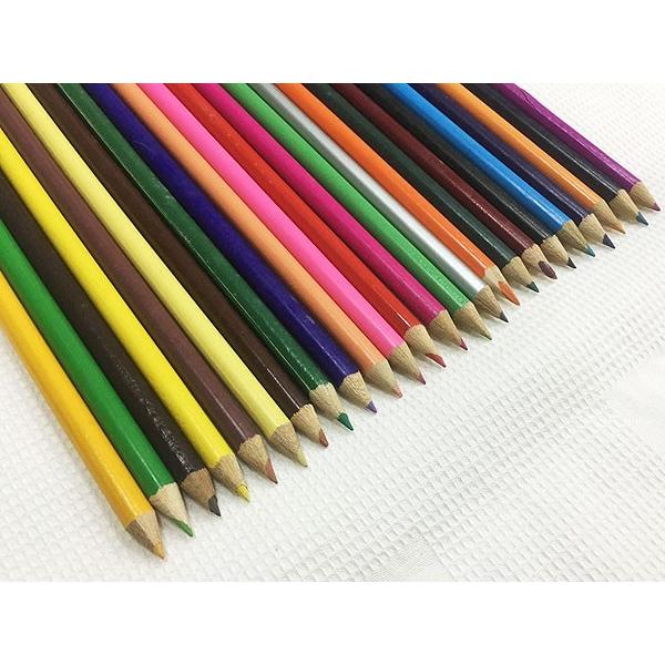 24色入り 色えんぴつ 鉛筆型ケース入り色鉛筆 XWX-CB : サポニンタイガ