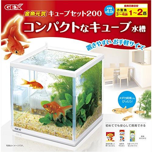 GEX 金魚元気 キューブセット 水槽サイズ:約W20×D20×H20cm 水容量:約6L 水槽ホワイトフレーム幅20cm｜sapphire98｜03