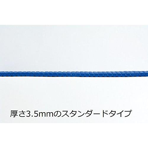 TOEI LIGHT(トーエイライト) XYSTUS(ジスタス) ヨガ・ピラティスマットST H9360 厚さ3.5mm PVC メッシュバッグ｜sapphire98｜02