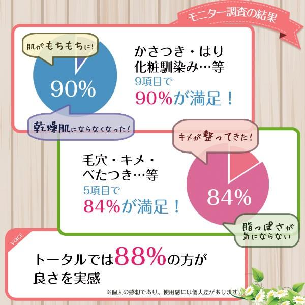 洗顔スターターセット◆クレンジングクリーム・ハーフサイズ + EXソープ＋ 専用ケース【送料無料】 |  | 07