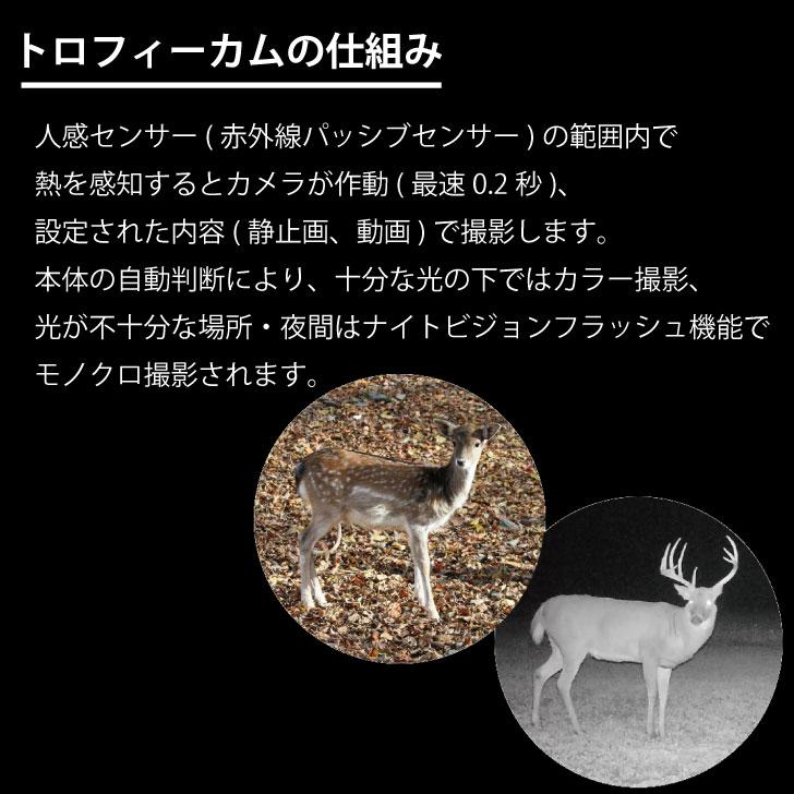 Bushnell トロフィーカム XLT 30MP 4K 防犯カメラ トレイルカメラ
