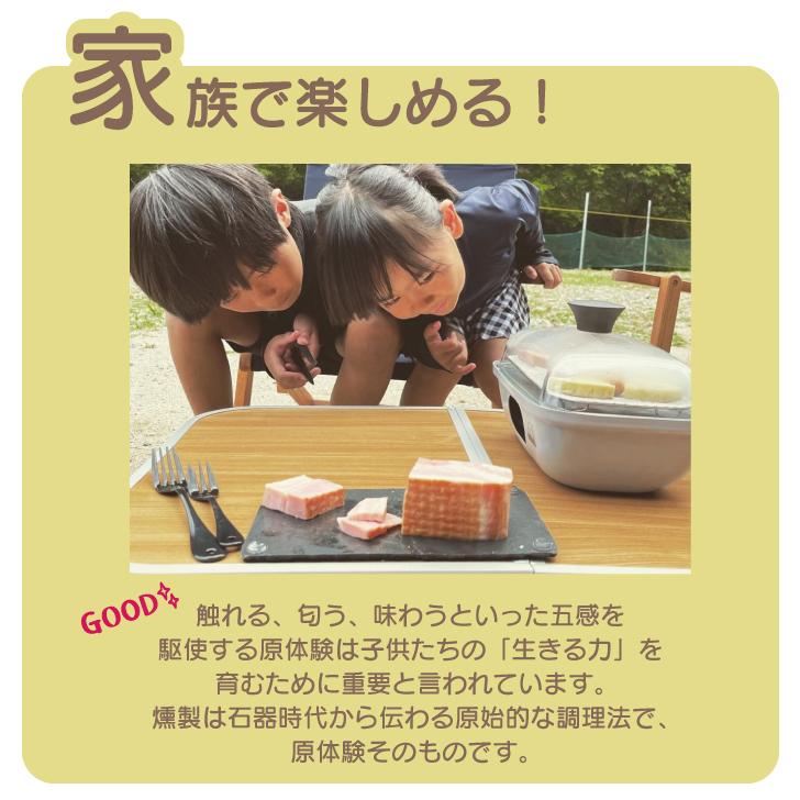 ADVANDER アドバンダー SMOKY MAGIC COMBO adv3415 燻製