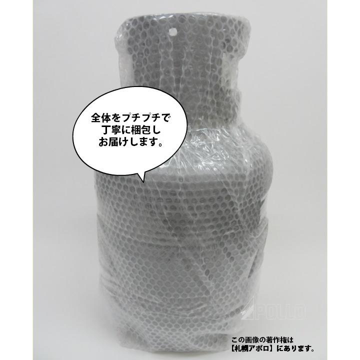 ＬＰガス ガス容器 5kg プロパン 容器  プロパンガス 小型ガス容器 ＬＰＧ｜sapporo-apollo｜03