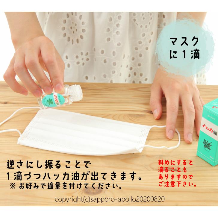 北見ハッカ通商 北見ハッカ ハッカ油 ボトル20ml×20本セット