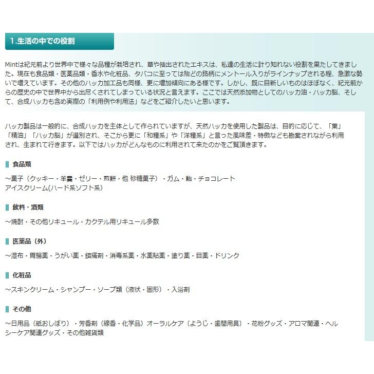 日本最大のブランド 北見ハッカ ハッカ油 ボトル２０ｍｌ×２０本セット ドロッパー付き （穴開き中栓付き）