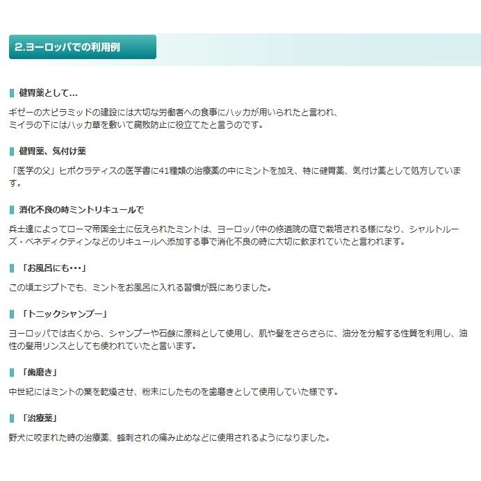 日本最大のブランド 北見ハッカ ハッカ油 ボトル２０ｍｌ×２０本セット ドロッパー付き （穴開き中栓付き）