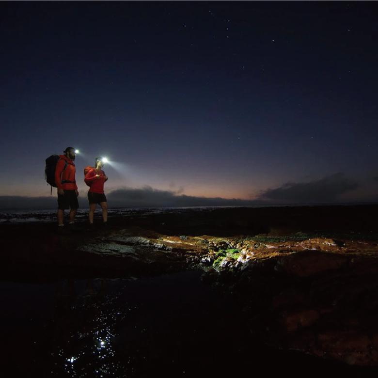 LEDLENSER（レッドレンザー） ヘッドランプ MH7 Black/Gray アウトドア