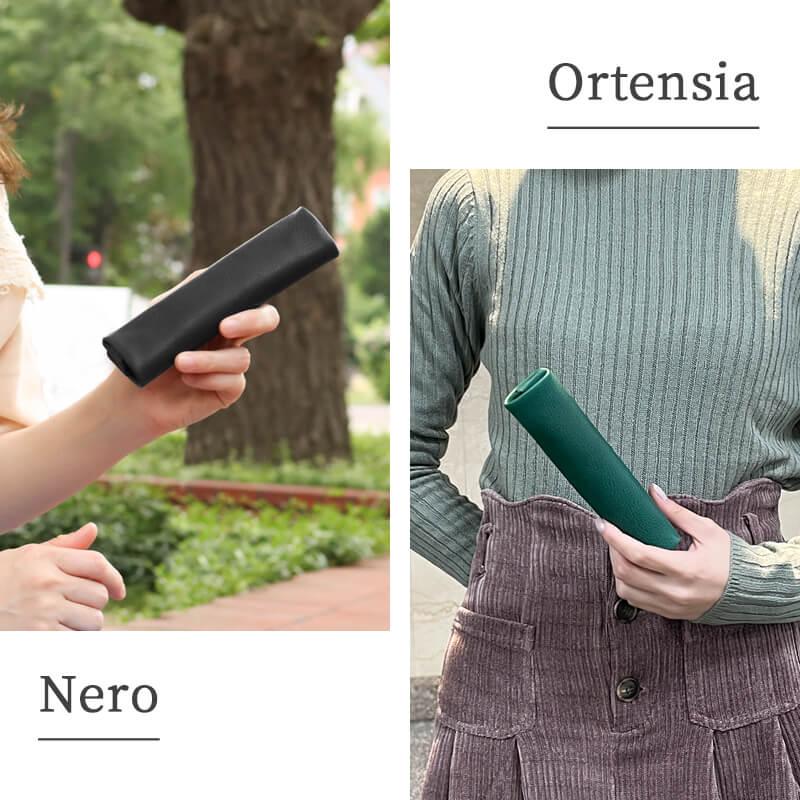 PLOWS ペントレーになるペンケース dritto-pen-roll ミネルバ 名入れ