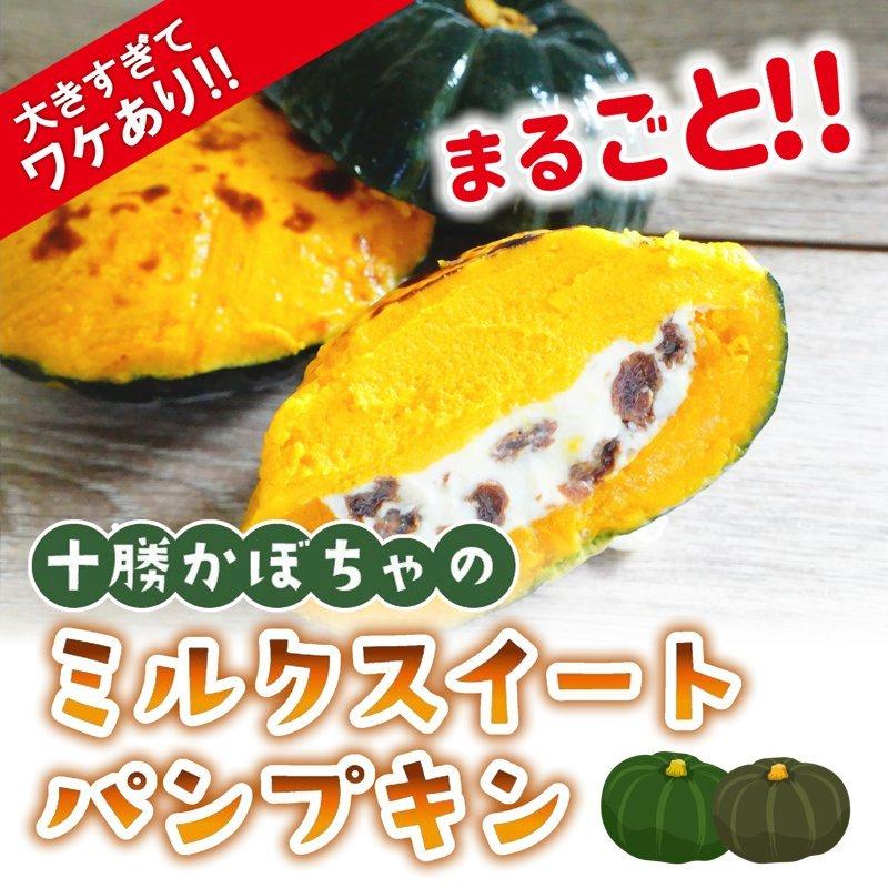 わけあり！ 十勝かぼちゃのミルクスィート　ハロウィン　パンプキン スイーツ かぼちゃ 北海道 牛乳 デザート アウトレット　お取り寄せ｜sapporo-rinkou
