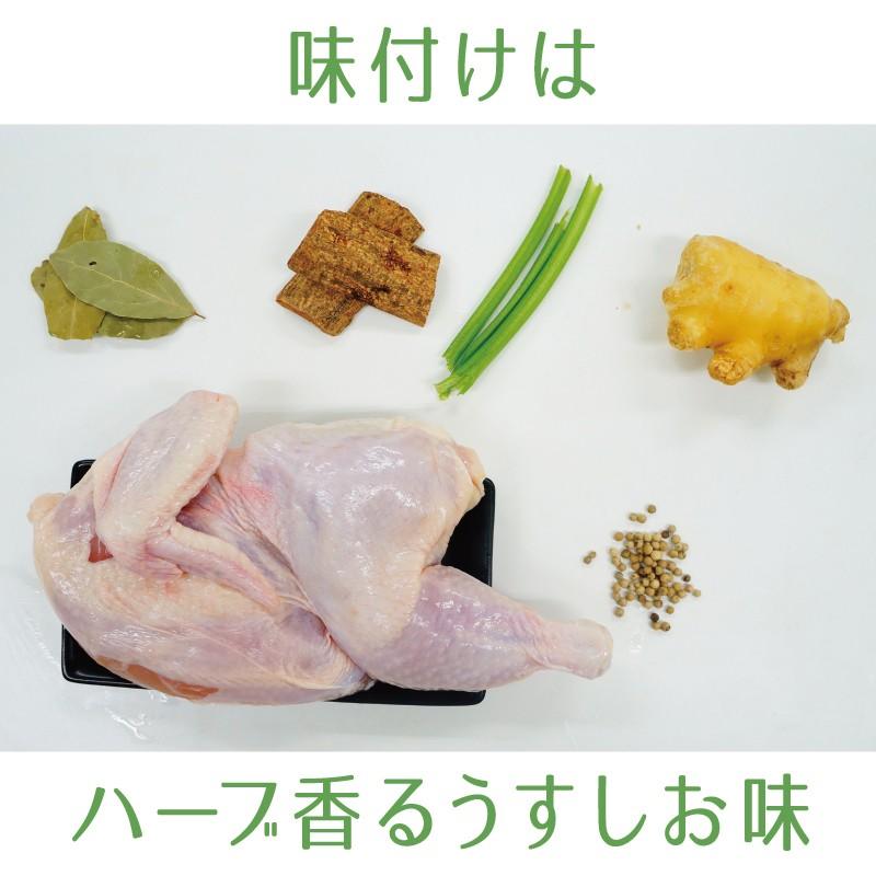 北海道産鶏半身揚げ 調理済 若鶏半身揚げ 鶏肉 冷凍 北海道 チキン 丸鶏 お手軽 パーティー 半身揚げ Ecr 031ha 札幌鱗幸 Yahoo 店 通販 Yahoo ショッピング