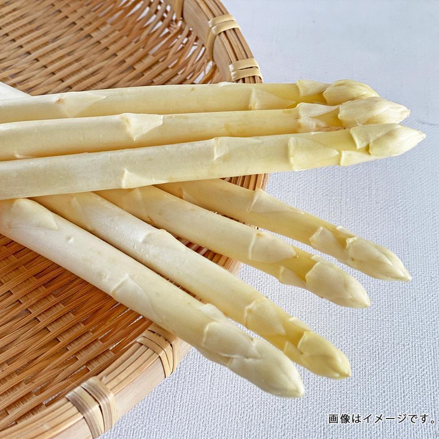 北海道産 ホワイトアスパラガス 3Lサイズ 1kg アスパラ 予約 道産 2026