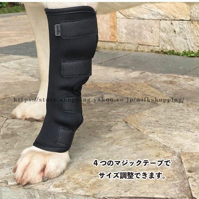売上実績no 1 犬 サポーター 犬用 膝 関節 靭帯 脱臼 保護 プロテクター 介護 Shipsctc Org