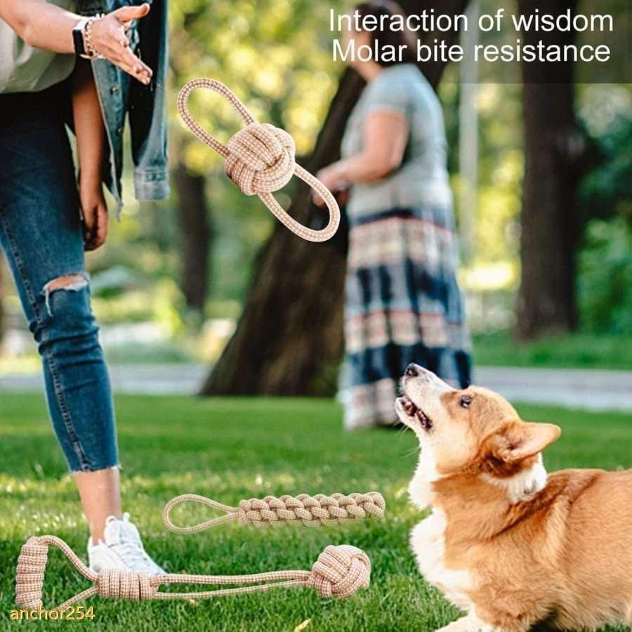 永遠の定番 犬噛むおもちゃ ロープおもちゃ 犬おもちゃ 噛むおもちゃ 知育玩具 麻縄 アグレッシブ 安全清潔 歯磨き 運動不足 ストレス解消 耐久性 5個セット Cisama Sc Gov Br