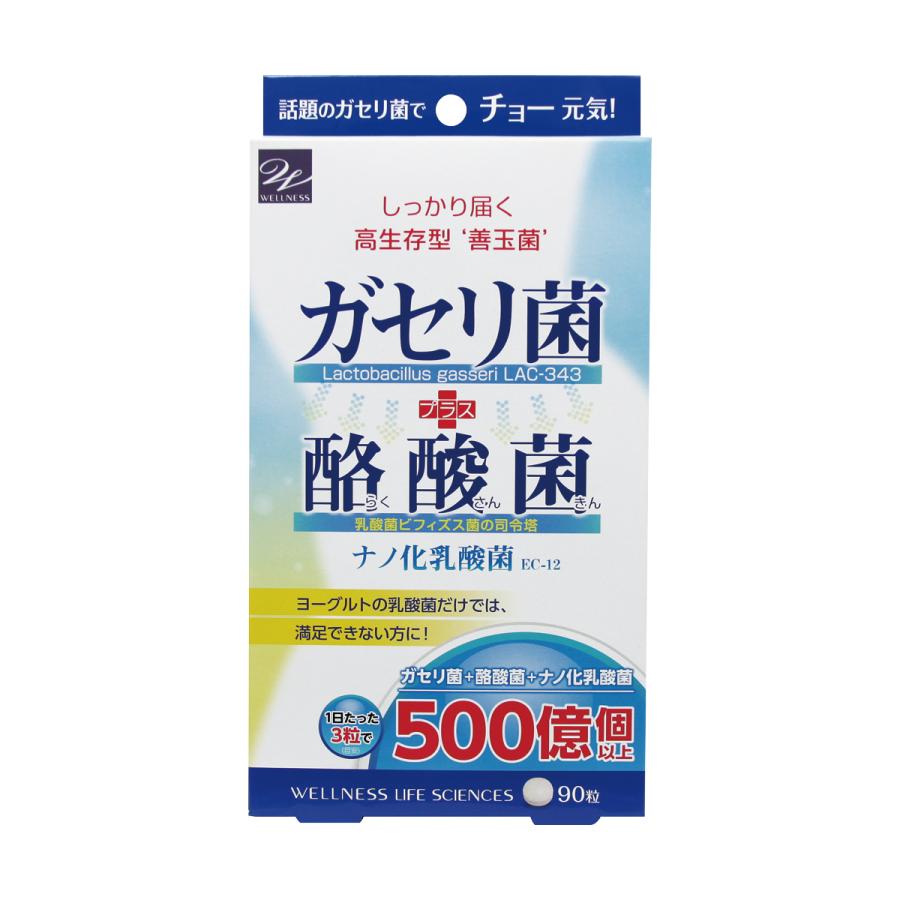 ウェルネスジャパン サプリ サプリメント ガセリ菌+酪酸菌 90粒 ウェルネスジャパン サプリ サプリメント ガセリ菌+酪酸菌 90粒