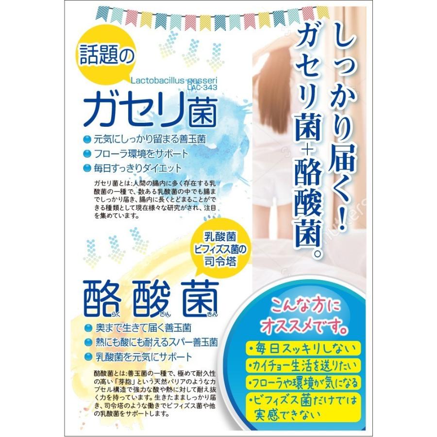 ウェルネスジャパン サプリ サプリメント ガセリ菌+酪酸菌 90粒 ウェルネスジャパン サプリ サプリメント ガセリ菌+酪酸菌 90粒