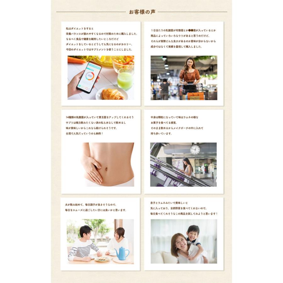 ウェルネスジャパン 乳酸菌 サプリメント プロティックバイオ乳酸菌 60