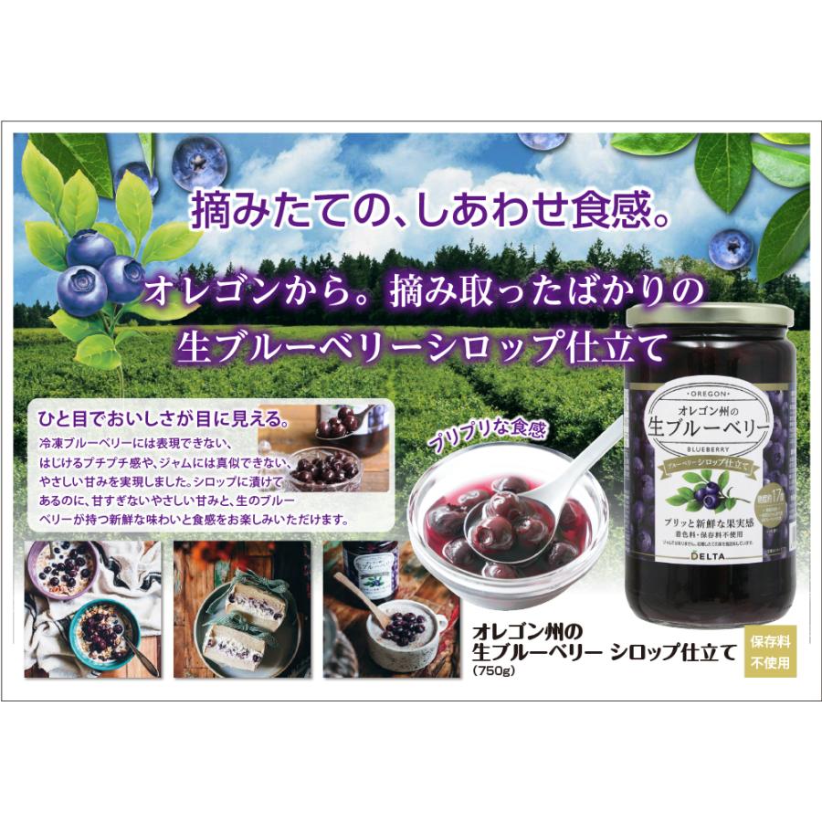 オレゴン州の生ブルーベリーシロップ仕立て 750g 3個セット 生