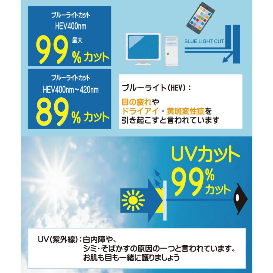 ザ”サプリメガネ2 5552 JIS規格適合メガネ 高機能ブルーライトカット