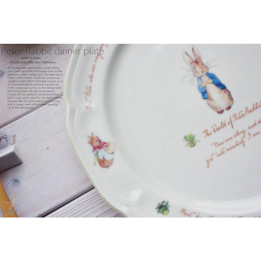Lucky Rabbit Potteryのサーモンディナープレート Lucky Rabbit Potteryのサーモンディナープレート