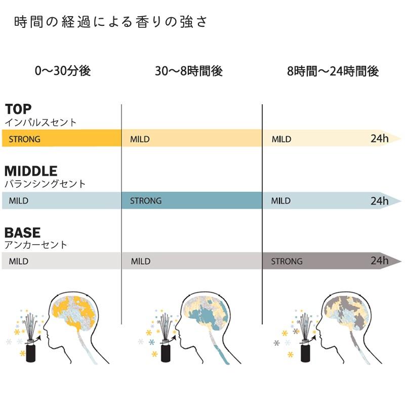 アシュレイ&バーウッド フレグランスオイル 春のおすすめレシピ 2本